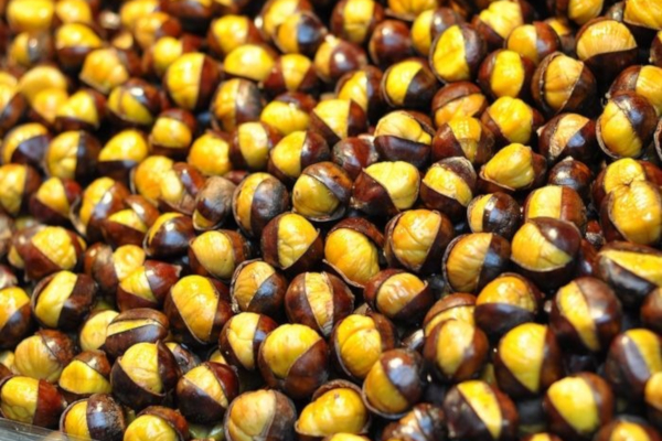 栗妃板栗加盟费