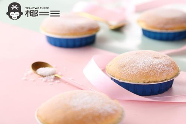 椰二三手摇椰奶茶加盟费