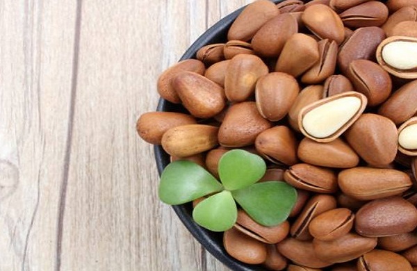 干果批发加盟费