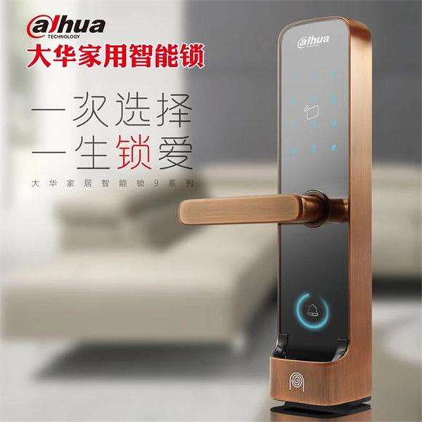 大华智能锁加盟店