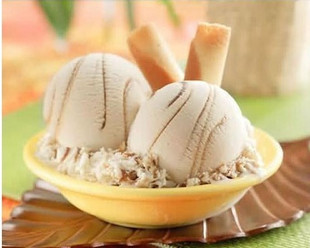 自制冰淇淋加盟费