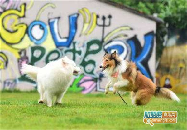 优活宠物乐园加盟店