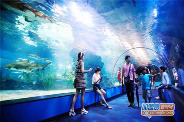 迪茨水族馆加盟