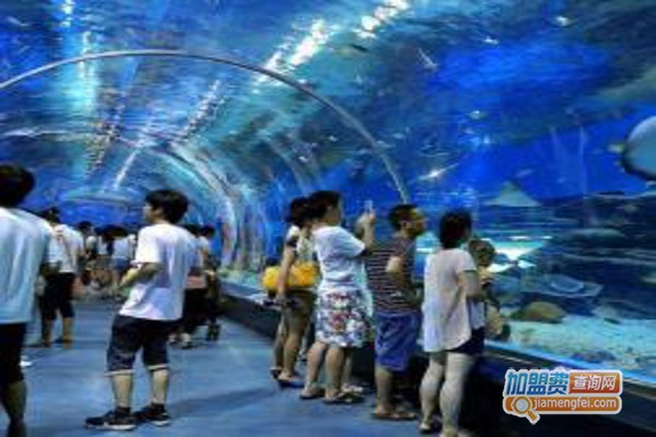 迪茨水族馆加盟