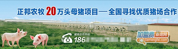 正邦养猪