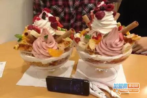 冰激凌连锁店加盟费