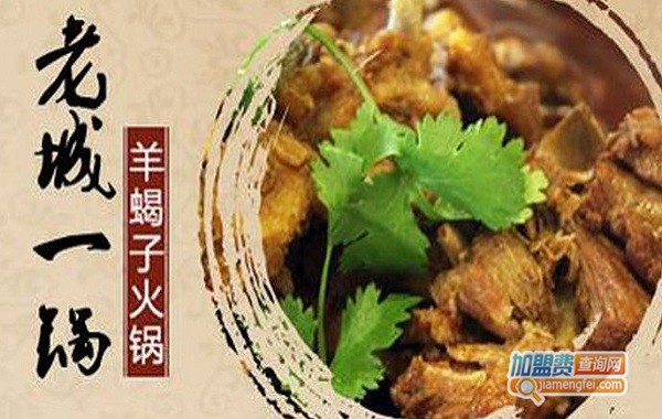 老城一锅火锅加盟费