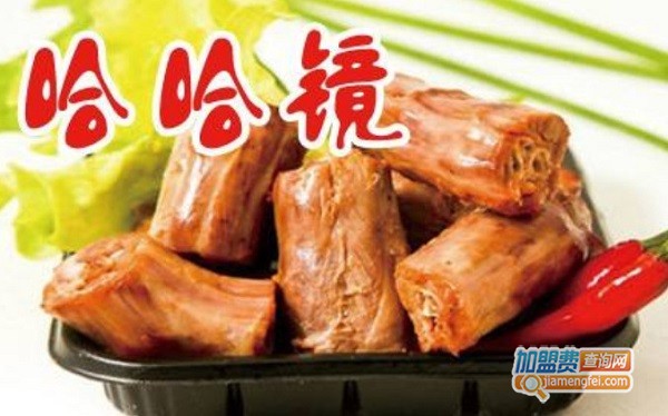 哈哈镜鸭货加盟多少钱