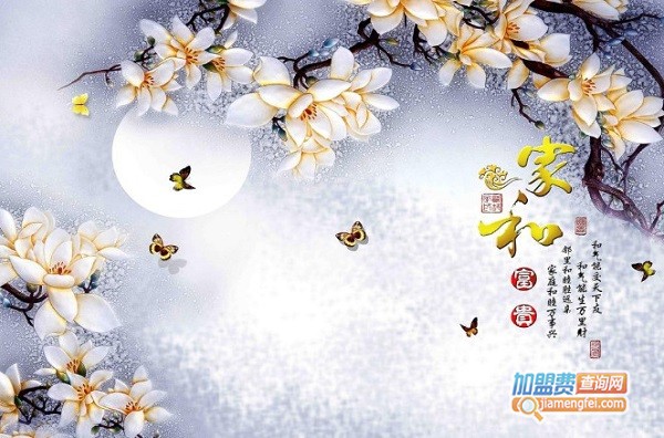 冰晶画设备加盟