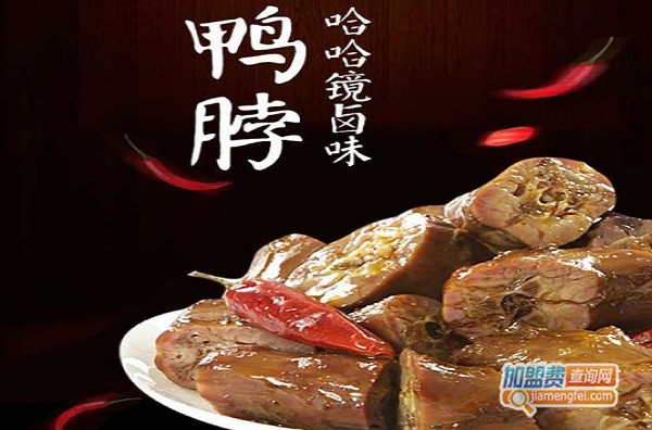 哈哈镜鸭货加盟多少钱