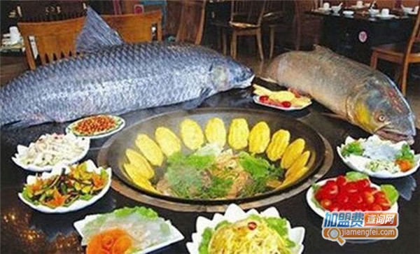 野生大鱼坊加盟店