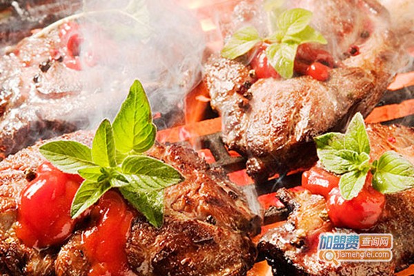 C13能量窑烤加盟费