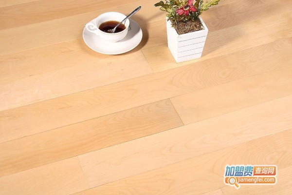 品牌地板加盟费