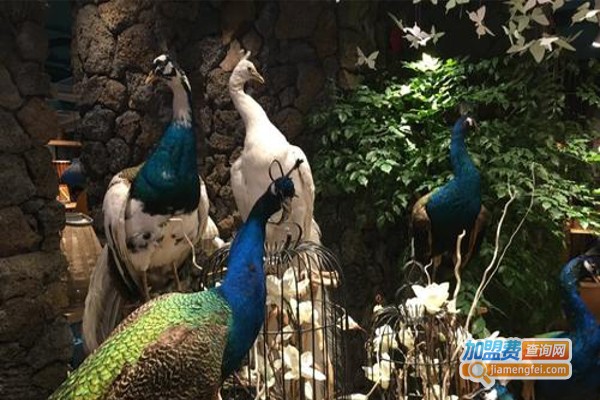 孔雀养殖加盟费