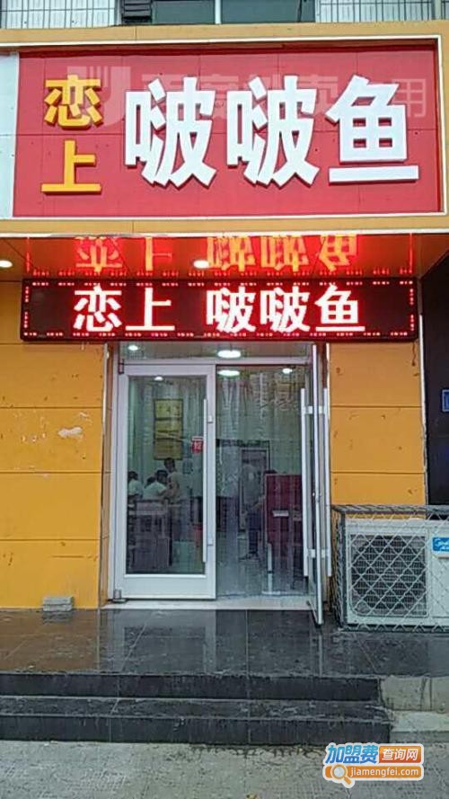 恋上啵啵鱼加盟费