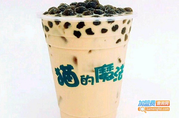 猫的魔法密林加盟费