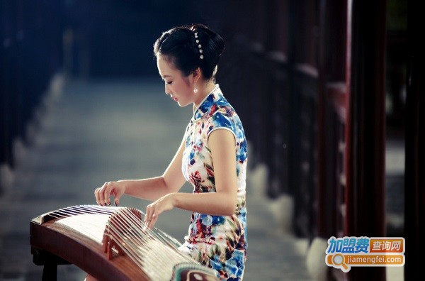 袁莎古筝学校加盟费