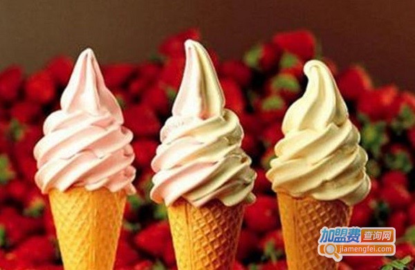 意大利手工冰淇淋加盟费
