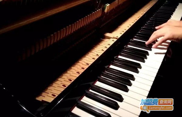 但昭义钢琴艺术中心加盟费