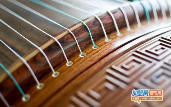 袁莎古筝学校加盟费