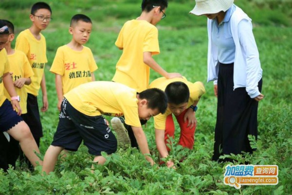 儿童夏令营加盟费