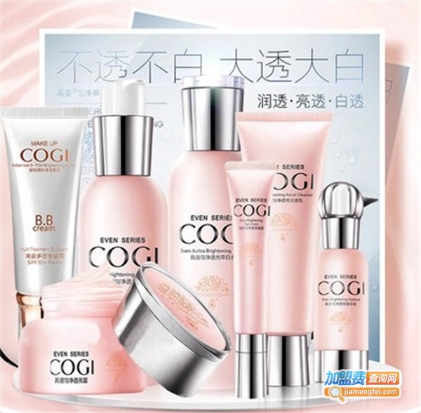 高姿护肤品加盟店