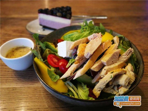 沙拉日记加盟店