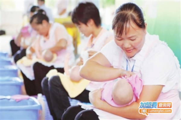 月嫂店连锁加盟费