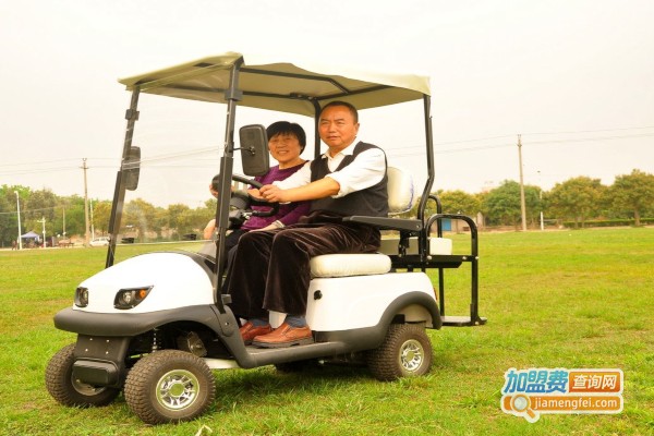 老年电动车加盟费