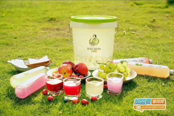 酵妈妈酵素桶加盟费