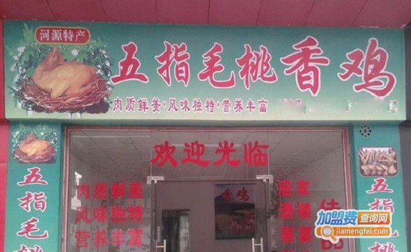 五指毛桃鸡加盟
