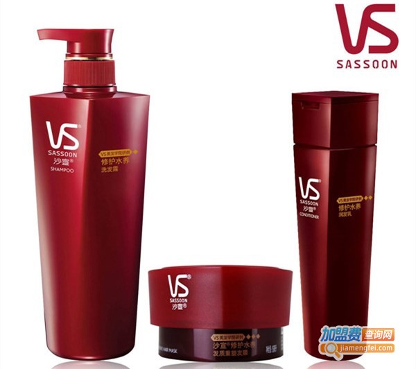 沙宣美发加盟店