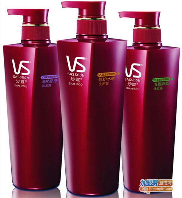 沙宣美发加盟店