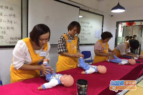 希望宝宝月嫂家政加盟费