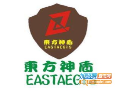 东方神盾室内除甲醛
