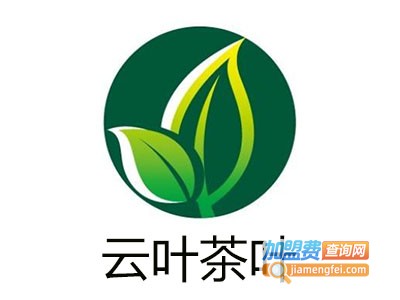 云叶茶叶