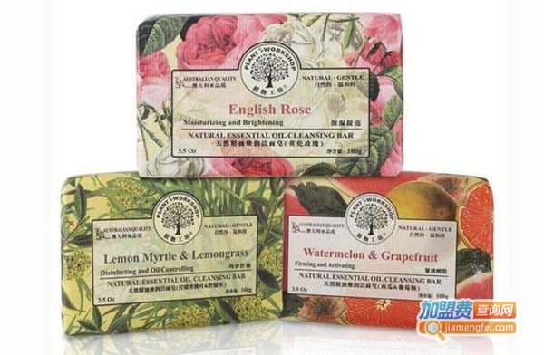 植物工坊加盟费