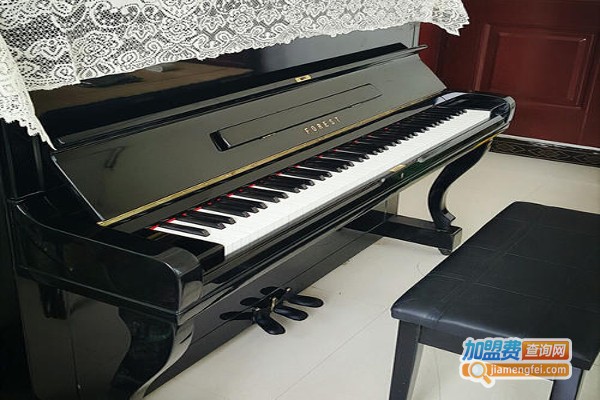 英昌钢琴加盟费