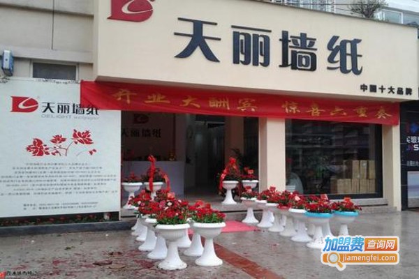 天丽壁纸