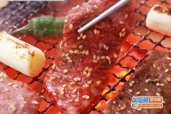 主题烧烤加盟费