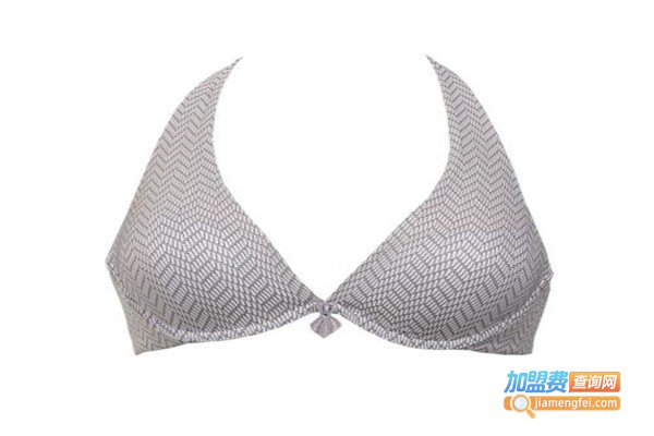 品牌女士内衣加盟