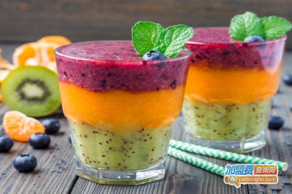 水果冰沙加盟费