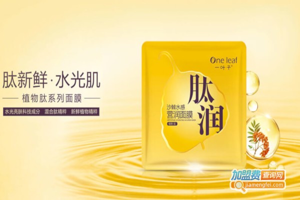 一叶子面膜加盟费