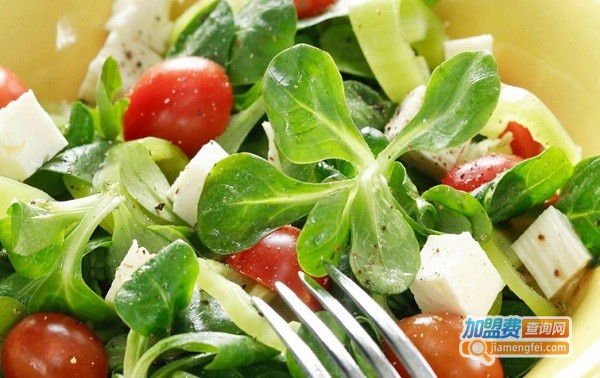 纤卡沙拉SlimkaSalad加盟费