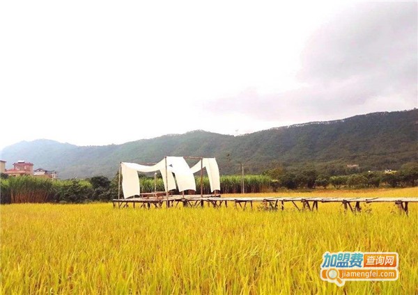 宛若故里·稻田里民宿加盟店