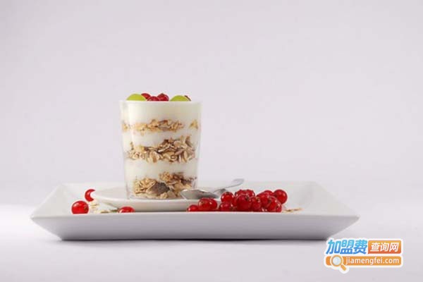 银女郎冰冻酸奶加盟费