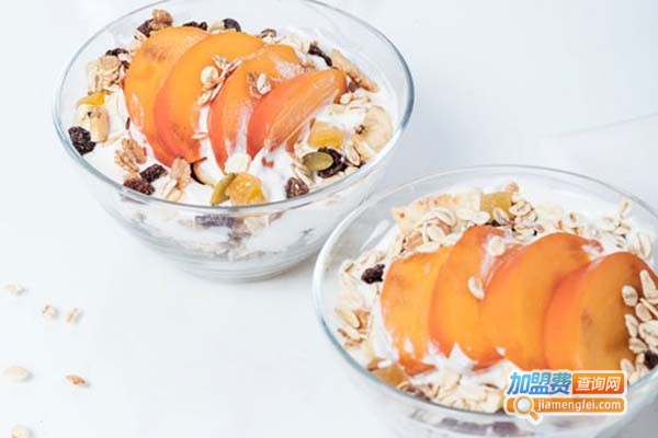 银女郎冰冻酸奶加盟费