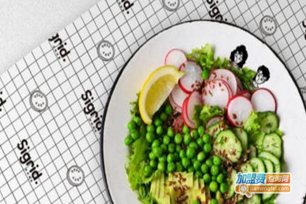 摩饭鲜森沙拉轻食健身餐加盟费