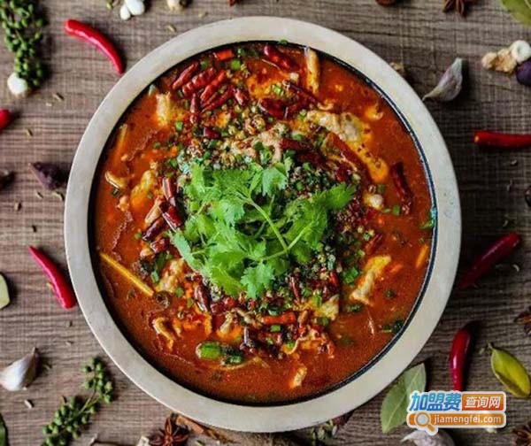 璐璐柴火鱼加盟费