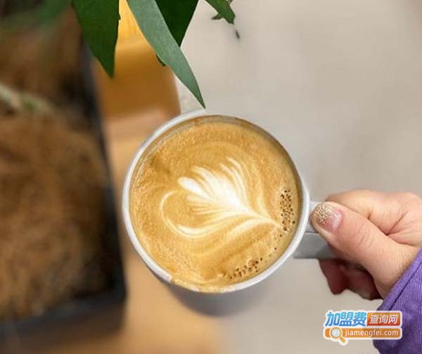 石藤咖啡加盟费